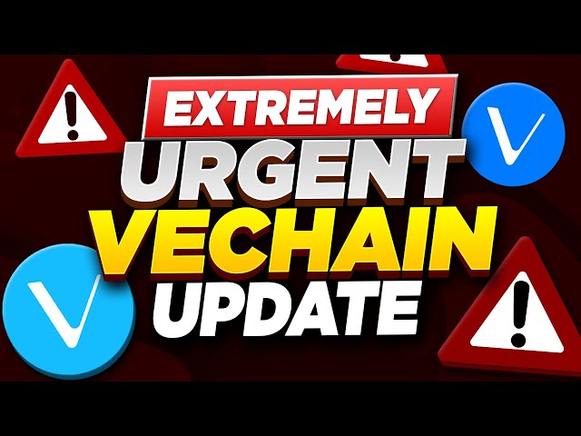 Vechain Vet News Vebetter Token explosant! Partenaire vétérinaire BCG poussant l'innovation de l'IA