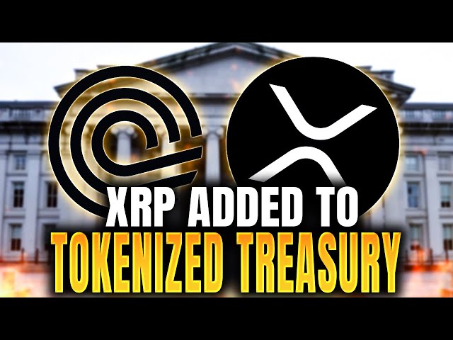 XRP Ledger Partnership with BlackRock Backed Treasuries Worth $3,000 Per Coin !?