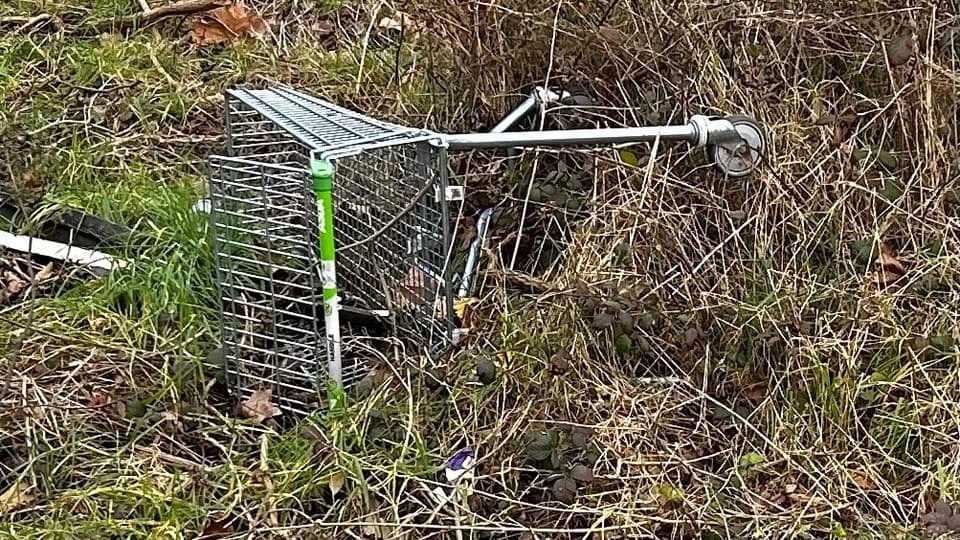 Offre pour dégager la ville de Rogue Shopping Trolleys