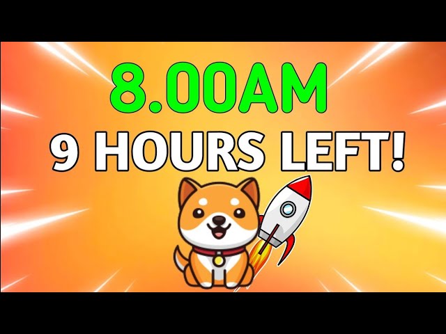 Baby Doge Coin 🤫 Big Breaking News Baby Doge Big Listing अब कुछ बड़ा Baby Doge Price Prediction 2025