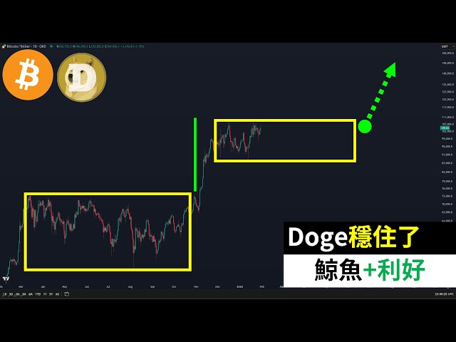 狗狗幣還會跌嗎？比特幣DOGE利好很多！鯨魚行動！