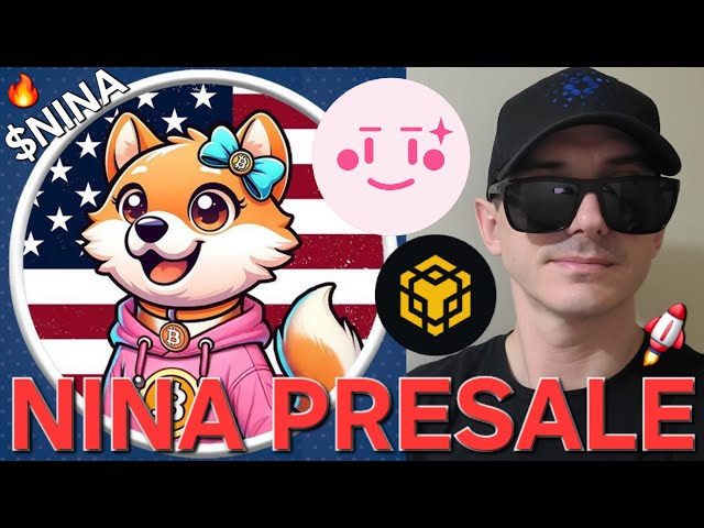 $ Nina -Nina Token Presale Presale Crypto硬币如何购买BNB BSC Memecoin Pinksale Pancakeswap区块链