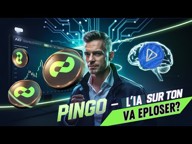 🚀 Pingo Token, das erste Projekt befindet sich auf Ihrem 🚀 🚀