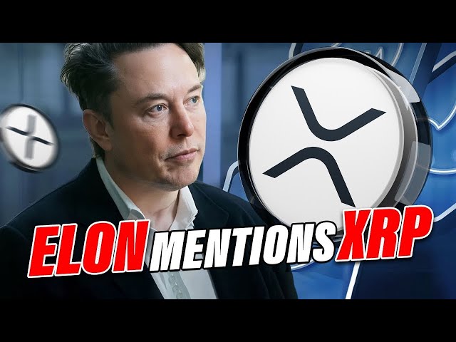 Ripple XRP News -Elon MuskはXRPに言及しています！？ Longs清算＆USDCの大規模な印刷ショック市場！