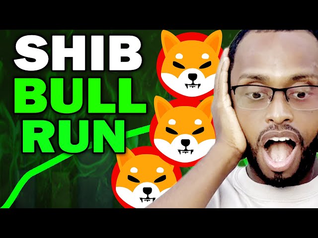 Shib Coin이 튀어 나옵니다! Shiba INU가 계속 등반하거나 충돌합니까? 오늘 시바 이누 뉴스