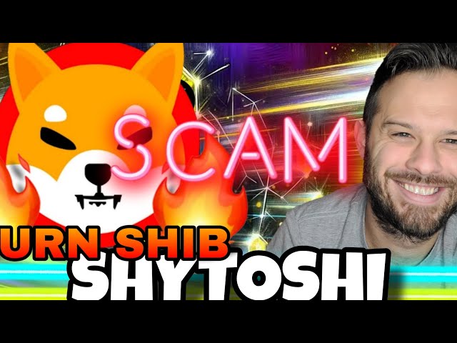 Shiba Inu Coin | Nobody Is Talking About The Major SHIB Scam?!