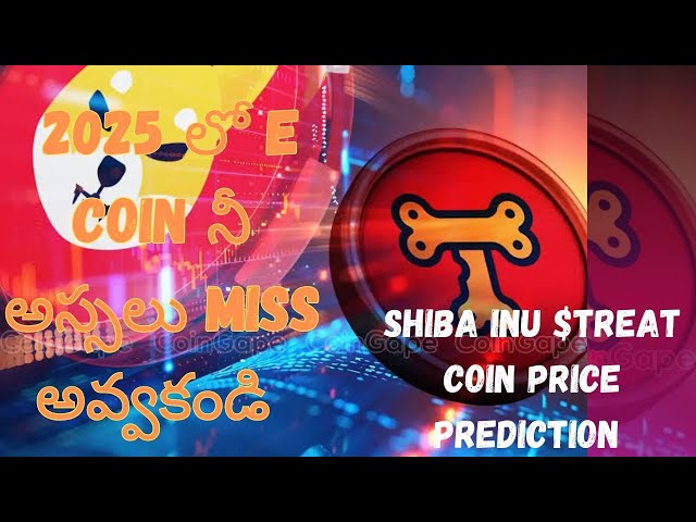 Shiba Inu $處理硬幣價格預測| Shiba Inu硬幣|在2025年將硬幣$ 1