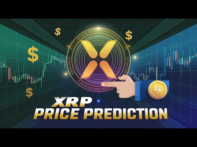 🔴XRP实时交易| 1月30日| XRP Live |实时交易XRP |实时XRP实时图表| XRP实时流