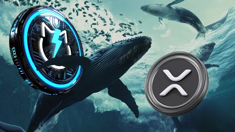 XRP’s On-Chain Activity Billows As Crypto Whales Rush To JetBolt Presale