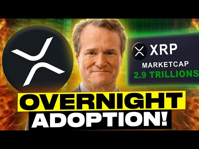 Breaking !!! Übernachtungsbanken XRP Adoption Eingang! (Mondshot eingehalten)