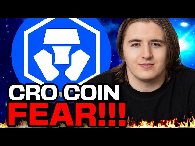 Crypto.com titulaire du temps de s'inquiéter ?! (CRO Coin Breaking News) - CRO Price Alert!