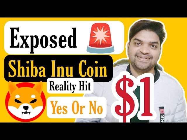 露出| Shiba Inu Coinは$ 1をヒットしましたか？現実