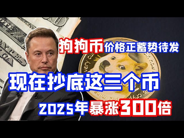 狗狗幣價格正蓄勢待發，現在抄底這三個幣，2025年暴漲300倍！加密貨幣區塊鏈比特幣BTC 以太坊ETF doge幣狗狗幣熱點資訊！