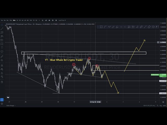 Münzpreisvorhersage | Blue Whale Bd Crypto Trader