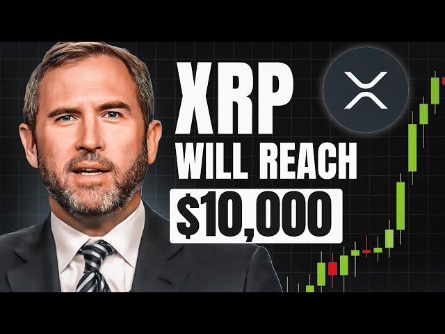 리플 XRP | 그들은 방금 타임 라인을 노출시켰다 | 주의를 기울이십시오