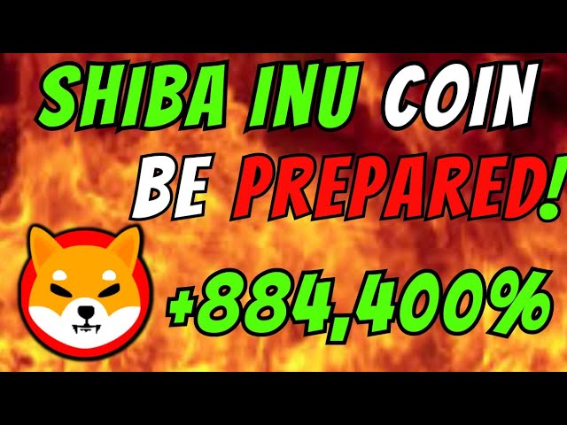 Dringend: Shiba Inu Team verbrennt 1 Milliarde Shib! 🚨 Massive Preisxplosion kommt? 🔥💰