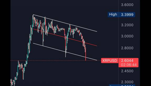 XRP whale