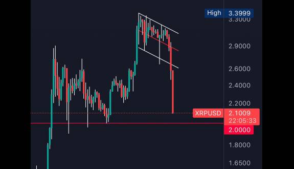 XRP whale