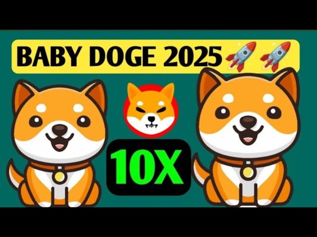 今天的小狗新闻今天|燃烧| Babydoge硬币价格泵10倍| Binance清单