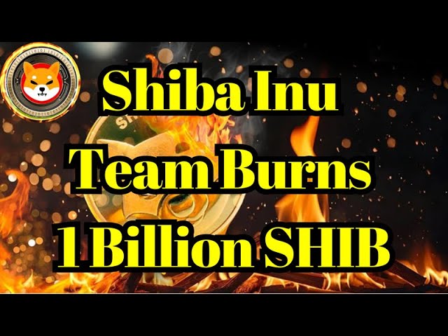 破坏硬币| Shiba Inu团队烧毁了10亿芯片，升级烧伤门户网站