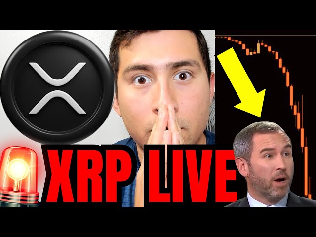 现在购买XRP Live！？🔴MajorCrypto交易