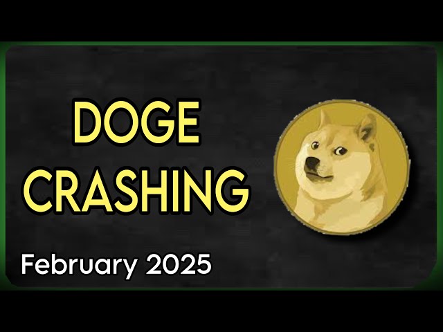 Doge Coin Prix Prediction - Doge s'écrase bientôt | Doge Coin News aujourd'hui