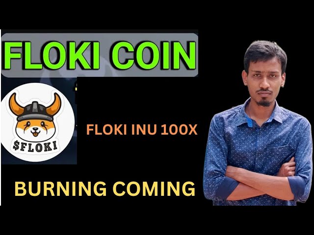 floki inu£1 Floki inu Next 100x Memcoin |価格予測