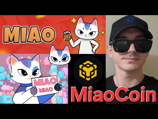 $ Miao - miaocoin token crypto pièce comment acheter miao bnb bsc memecoin pancakeswap blockchain chat meme