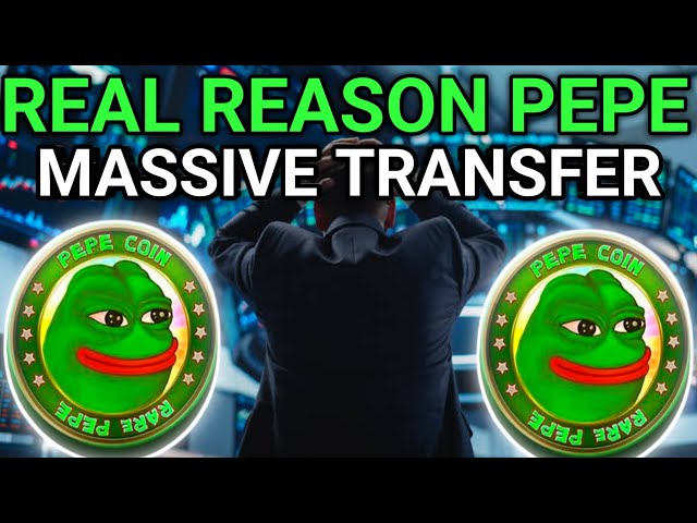 PEPE COIN 170 milliards de jetons: Qu'en est-il derrière le transfert massif?