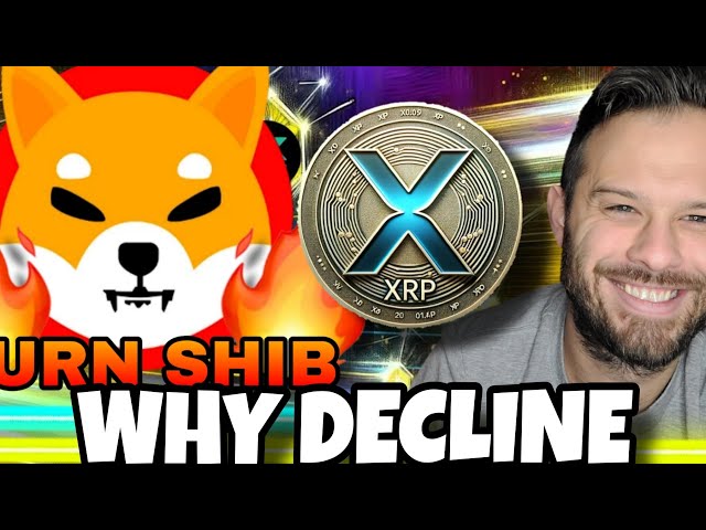 Shiba inu coin |なぜシブ・ドージとXRPが減少しているのか！