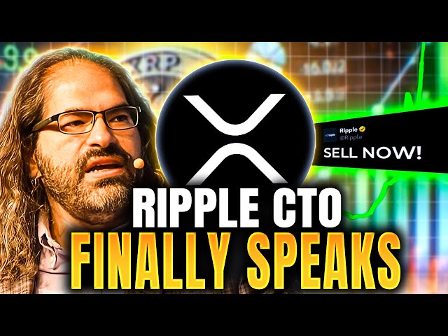 XRP持有人Ripple CTO刚刚出售了所有内容| XRP大新闻