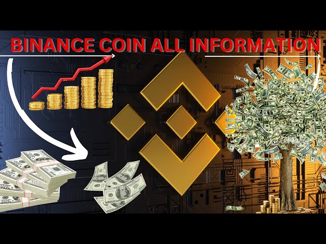 Binance (BNB) 동전 모든 정보.