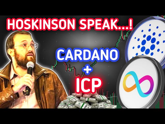 Cardano Unleashed : ICP, Ripple, Bitcoin & Global 확장에 대한 Hoskinson의 대담한 AMA,주의를 기울이십시오.