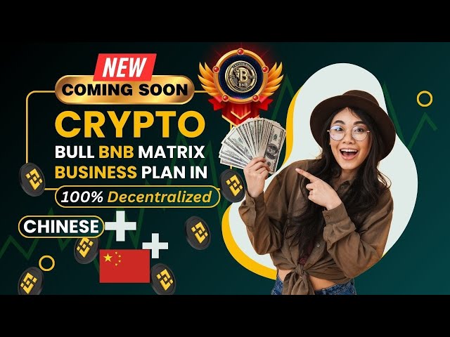 Crypto Bull BNB Matrix中国語のビジネスプラン|| #onlineincome #cryptobulbnbai #comingsoon