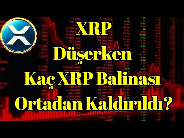 암호화 음성 뉴스 | XRP가 떨어지면 얼마나 많은 XRP 고래가 제거 되었습니까?