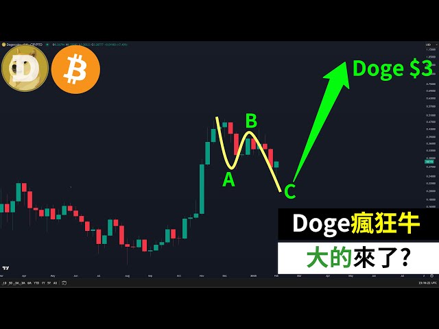 Dog Coin Bitcoin Crazy Bull Market! Pozo plongea pour une plus grande entendue! La liquidation de 10 milliards de dollars est terminée!