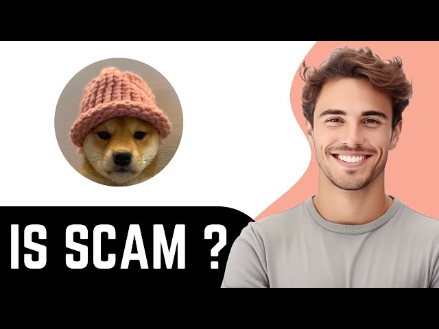 Is dogwifhat ($WIF) Token Legit or Scam ? (Review)