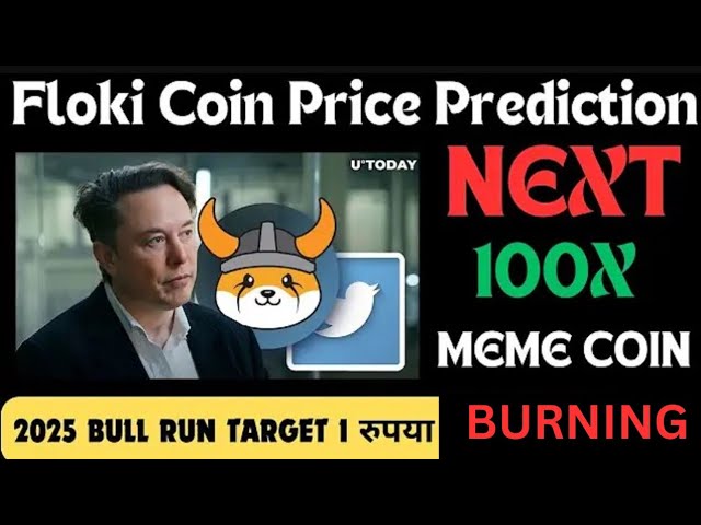 floki inu£1 Floki inu Next 100x Memcoin |価格予測