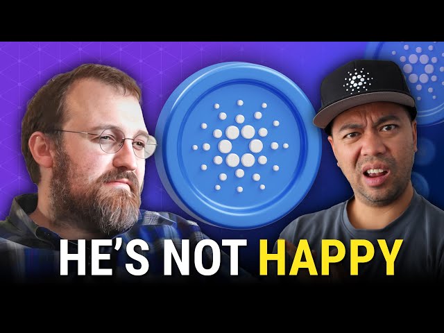 He's not happy... Wyoming Stable Coin Project, USDC & Iagon DDoS Attack