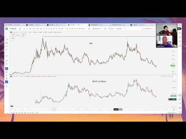 $ Pepe $ Andy & $ Wolf Major Exchange Listings? | Pepe Coin | Ordnungsgemäß bezahlt