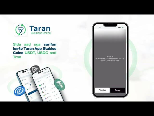 如何提高應用程序穩定硬幣USDC，USDT和TRON。