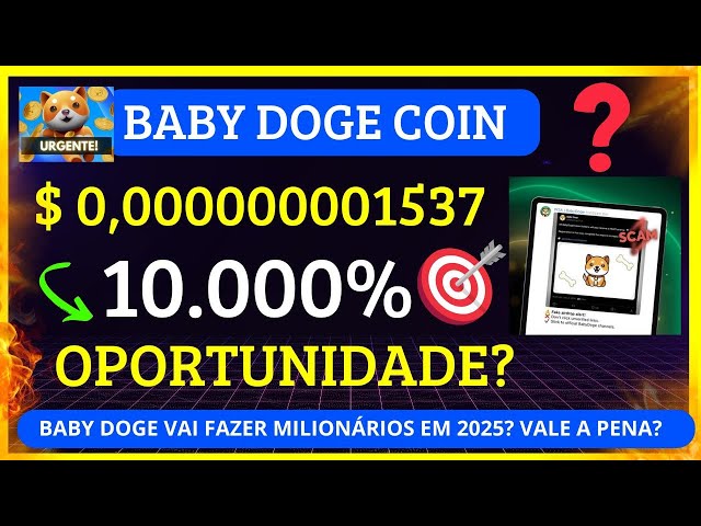 baby Doge Coin投資1,000美元的嬰兒Doge…看看發生了什麼！ 😱💸