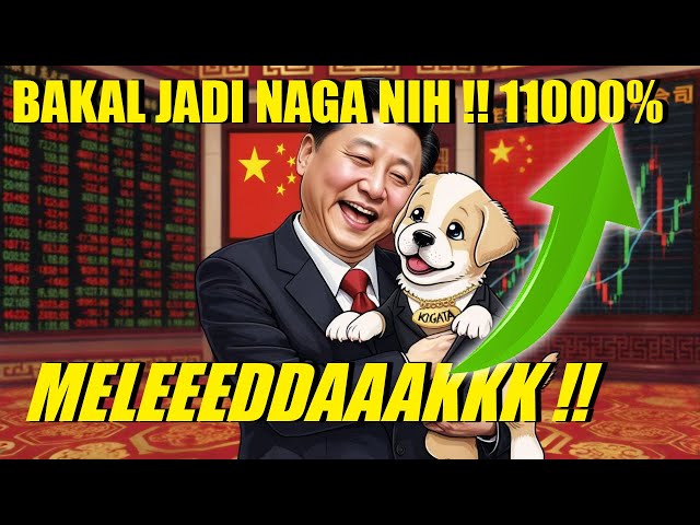 Boommm將是一個龍令牌！仍然準備擊敗特朗普！！