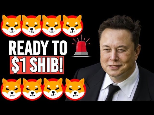 Warum Elon Musk sagt, dass Shiba Inu Münze 2 US -Dollar erreichen wird - Shiba Inu Coin News heute