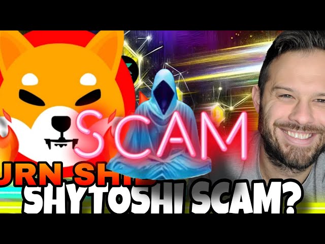 Shiba Inu Coin | Shill-toshi beschuldigt wegen Betrugs um Shib?! Es ist wahrscheinlich wahr!