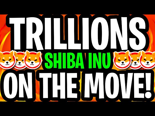 Shiba Inu: US -Regierung Secret Funds! $ 6.510.000.000.000 Shiba Inu jetzt! - Shiba Inu Coin News heute