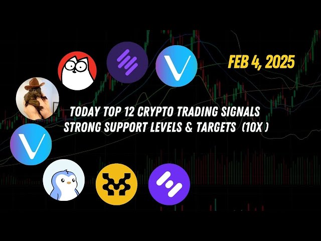 Top 12 Crypto Trading Signals 10x bounce ? op coin, trx coin, ton coin, icp coin, jasmy coin FEb 4