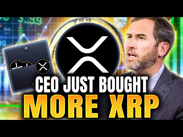 XRP波纹旋转式转换每枚硬币100美元，为什么