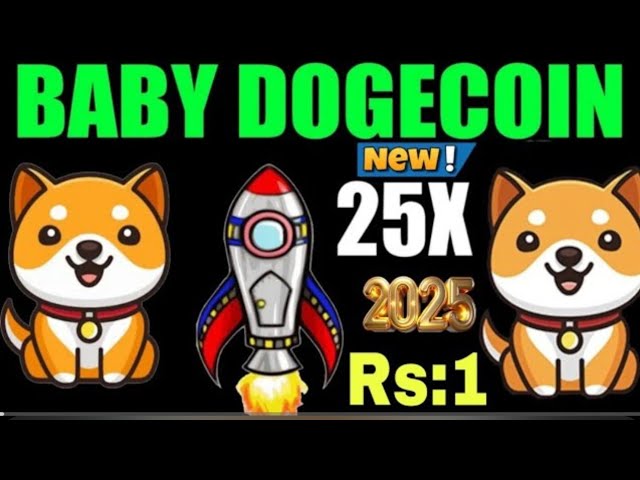 Baby Dogecoin ₹ 1 | Burn | Babydoge Coin Prix Pump 25x | Listing de binance