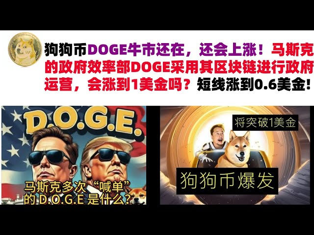 Dogecoin Doge Bull Market은 여전히 ​​거기에 있으며 계속 증가 할 것입니다! 정부 효율성 Doge는 정부 운영에 블록 체인을 사용합니까? 단기 $ 0.6#Doge Coin#Muske Dogecoin#Doge 시장 분석으로 단기 상승